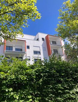 5 - Zimmer ( WG - geeignet ) mit EBK Balkon und Dachterrasse - Regensburg