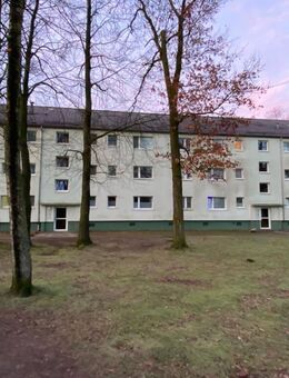 1-Zimmer-Wohnung in Flensburg Weiche - Flensburg