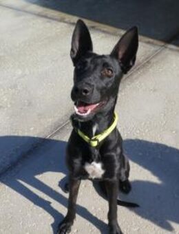 Quijana - Neubrunn (Bayern)