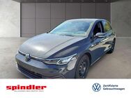 VW Golf, 2.0 TDI VIII Life, Jahr 2021 - Kitzingen