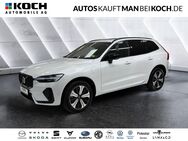 Volvo XC60, T6 Plug-In AWD Plus Dark H K, Jahr 2023 - Berlin