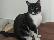 *reserviert* Trisha und Garry (ALO) - Geisenheim