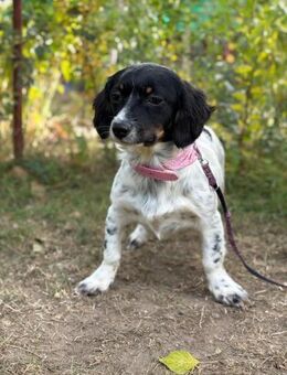 Envi möchte endlich ankommen - Köln