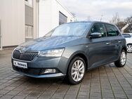 Skoda Fabia, 1.0 TSI AMBITION FLA W-Paket, Jahr 2019 - Schenefeld (Landkreis Pinneberg)