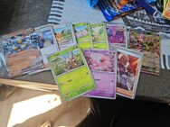Pokemon Karten - Neubrandenburg
