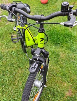 20 Zoll Fahrrad (Pegasus) - Wittmund