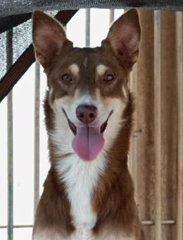 Fröhlicher sportlicher JACO - Völklingen