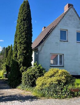 Eigenheim in Sternberg auf großem Grund - Sternberg