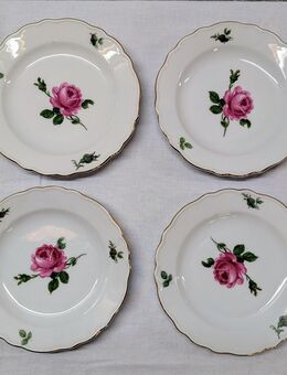 4 Teller Porzellan Teichert Werke Meissen Wildrose Rose ⌀ 17 cm - Mendig