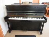 HOHNER Gebrauchtklavier HP-120 Eiche schwarz m. Garantie - Nideggen