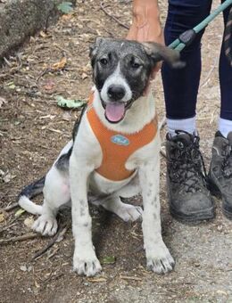Kinderliebe fröhliche GERI sucht ♥️ - München