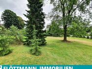 Baugrundstück in Steinhagen - Amshausen zu kaufen! - Steinhagen (Nordrhein-Westfalen)