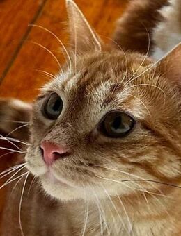 Max der kleine Abenteurer! - Bergkirchen