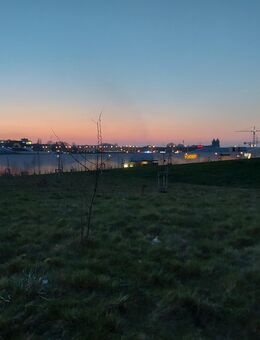 Hund gesucht - Essen