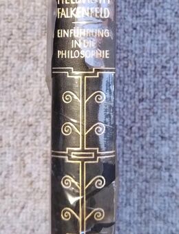 Einführung in die Philosophie, 1926, H. Falkenfeld - Dresden