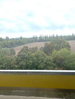 Kapitalanleger oder Eigennutz !!!! Ruhiges Wohnen in der Pfingstweide mit herrlichem Ausblick - Ludwigshafen (Rhein)