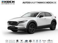 Mazda 2, 2.5 L 025 CX-30 e G 140ps FWD Homura, Jahr 2022 - Berlin