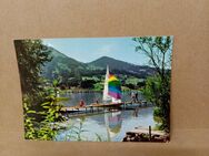 Postkarte C-455-Am großen Alpsee/Oberallgäu. - Nörvenich