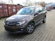 VW Tiguan, 2.0 l TDI, Jahr 2014 - Geeste