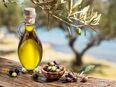 Olivenöl, Salsiccia und Käse aus Italien in 55116