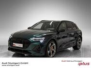 Audi e-tron, S Individuallackierung, Jahr 2022 - Böblingen