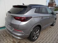 Opel Grandland 1,5 Elegance+Navi-Pro+Leder+Kamera+... - Hüttenberg