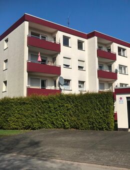 48 Zimmer-Mehrfamilienhaus Bad Driburg, Wohnungen 1.450.000 € - Bad Driburg