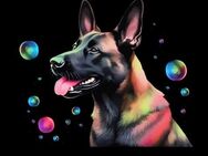 Wir suchen einen Hund (Rüde) - Borna Zentrum
