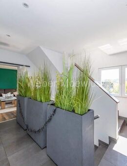 Schickes Eigenheim mit Einliegerwohnung, Doppelgarage, Terrasse und zwei Balkonen - Overath