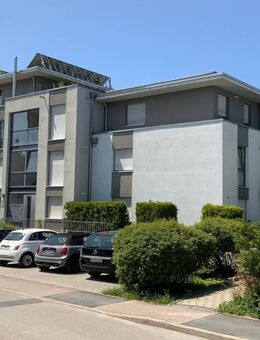 Kapitalanlage oder Eigennutzung - großzügiges Penthouse mit Aufzug und 2 TG-Stellplätzen - Tamm