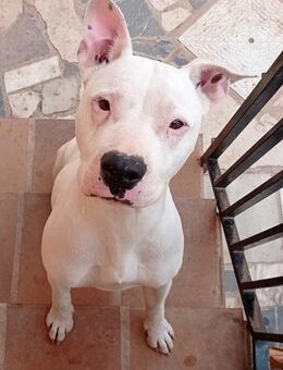 DREI - Listen - LADIES - suchen...... - Kempen