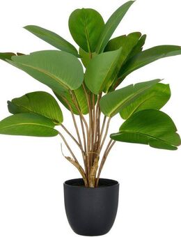 Kunstpflanze Philodendron, Creativ green, Höhe 45 cm, mit naturgetreuem Blattwerk