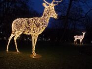 Suche vor Weihnachten noch eine geile Frau - Bremen