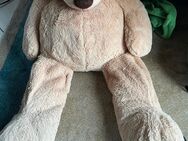 Großer Teddybär zu verkaufen - Nauheim