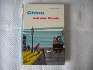 Chico auf der Flucht,Dieter Heuler,Fischer Verlag,1967 - Linnich