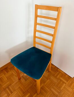 4 Stühle mit Samtbezug - Schaffhausen