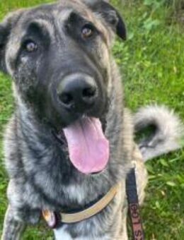 Hubert hat viel Liebe zu verschenken - München