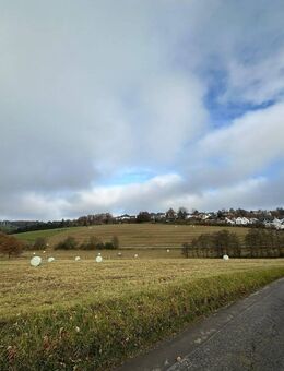 Ländliches Haus mit zwei Scheunen Wald, Wiese und Grünflächen in Halver zu verkaufen. - Halver