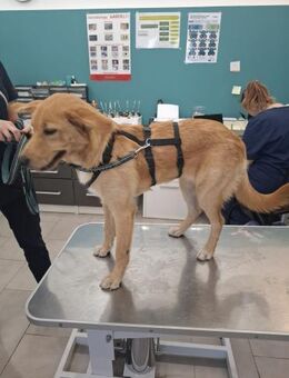 Leyla liebt es überall dabei zu sein - Ellerbek