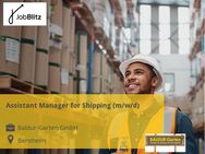 Assistant Manager for Shipping (m/w/d) - Bensheim