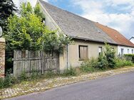 Wohnhaus mit großem Grundstück in ruhiger Wohnlage - Südliches Anhalt Scheuder