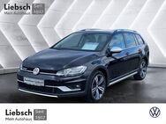 VW Golf Variant, 2.0 TDI Golf VII Alltrack L, Jahr 2020 - Lübben (Spreewald)