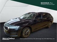 Skoda Octavia, 1.5 TSI Combi Ambition APP, Jahr 2024 - Neu Ulm