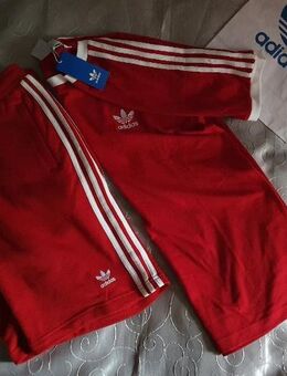 Adidas Superstar Shirt SST Anzug Suit Shorts Set Hose Rot Sommer - Hamburg