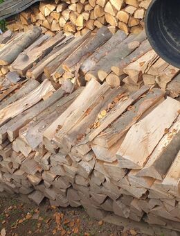 Brennholz Buche Trocken - Kall