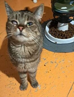 FOXY & ROXY - suchen neue Heimat..... - Kempen