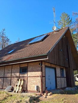 Wochenendhaus am Waldrand mit riesigem Grundstück! - Armstorf