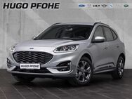 Ford Kuga, 1.5 ST-Line EcoBoost 110kW, Jahr 2023 - Oldenburg (Holstein)