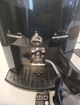 Kaffeevollautomat Krups - Düsseldorf