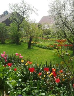 Haus im Grünen mit vielen Möglichkeiten!!! - Dinkelscherben